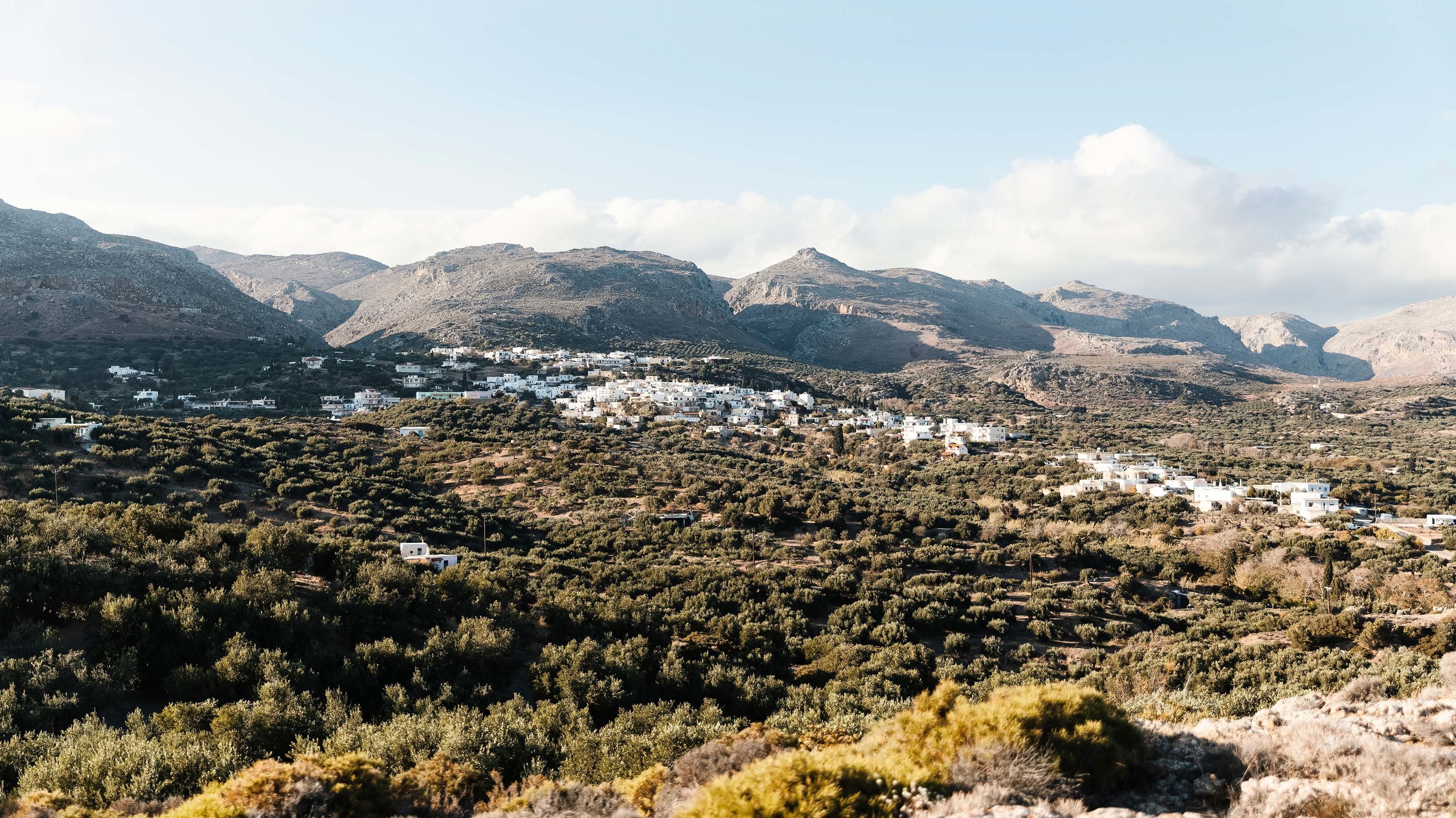 Love Brought Us Here