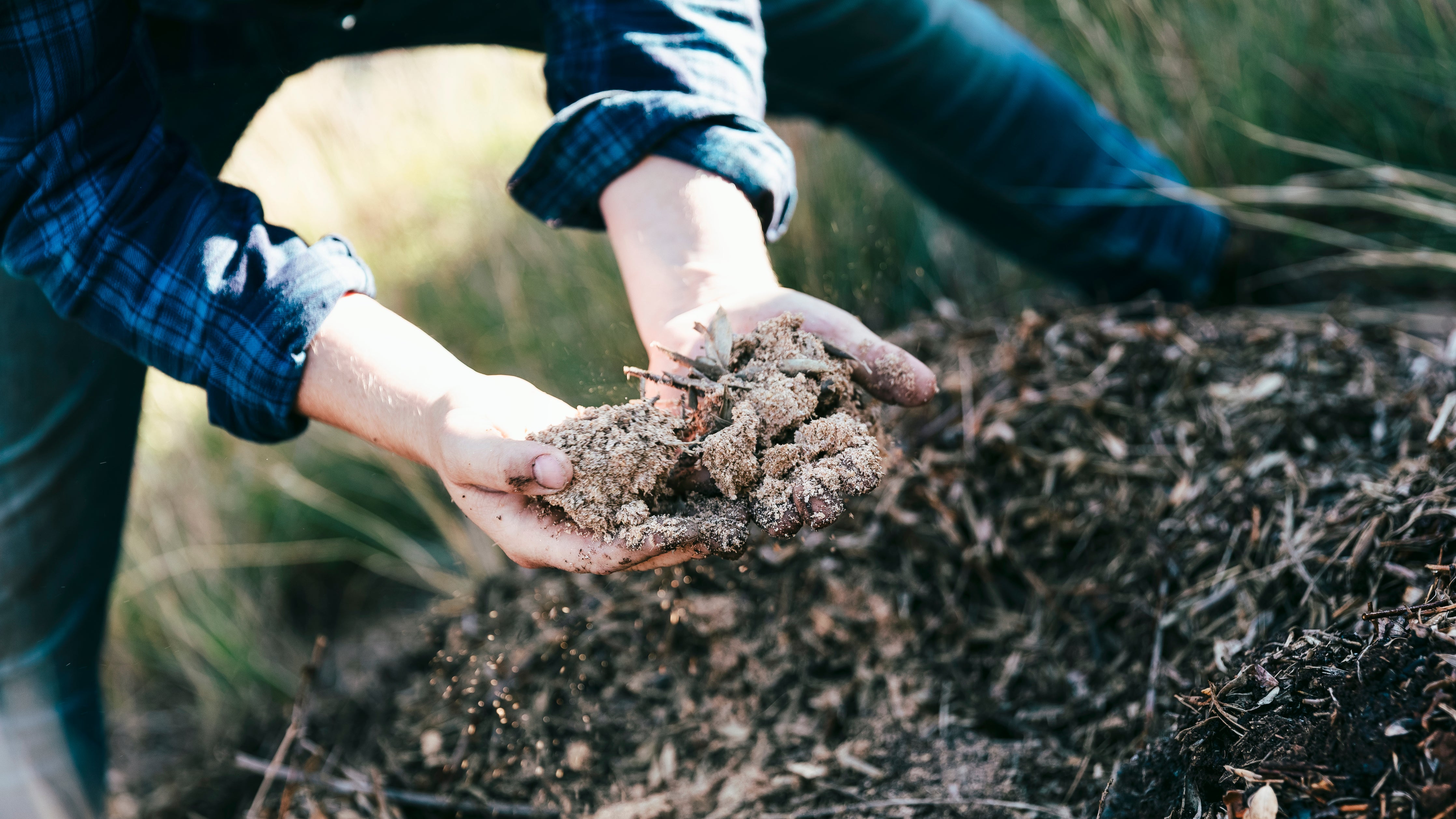 Regenerative Farming On The Ground